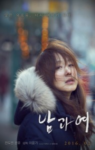 A Man and a Woman (2016) Hindi Dubbed