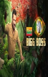 Bigg Boss 15 (2021) TV Shows